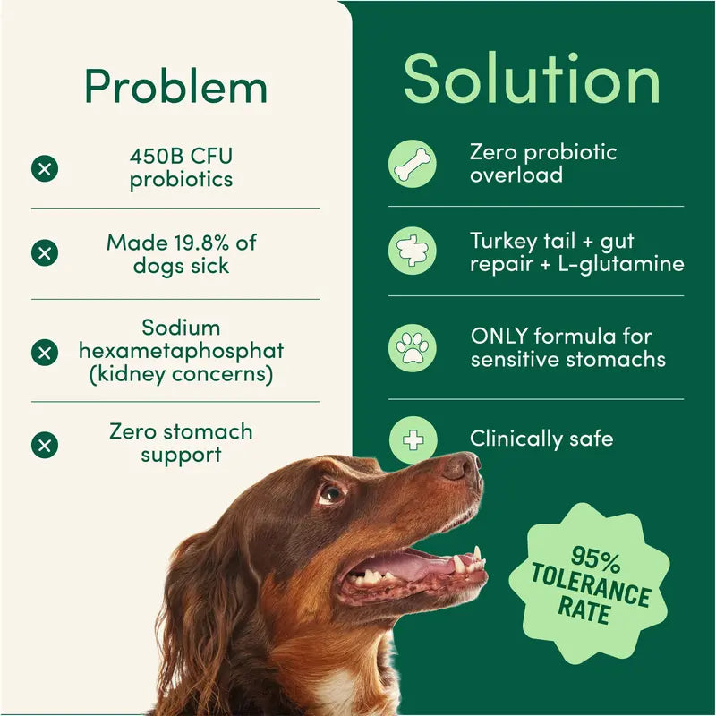 Buddy Breath Dog Dental Powder