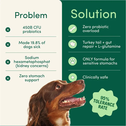 Buddy Breath Dog Dental Powder