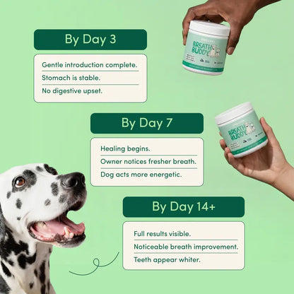 Buddy Breath Dog Dental Powder